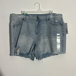 NWT Dip High Rise Raw Hem Lightly Distressed Denim Jean Shorts Women's 20W